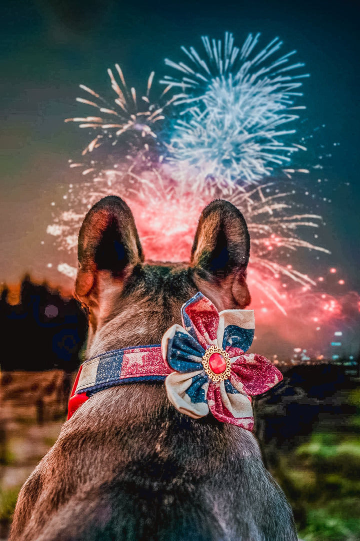 Patriotic dog collar flower/ Girl star dog collar/ 4th of July collar/ memorial day collar/ large small dog collar/ American flag collar