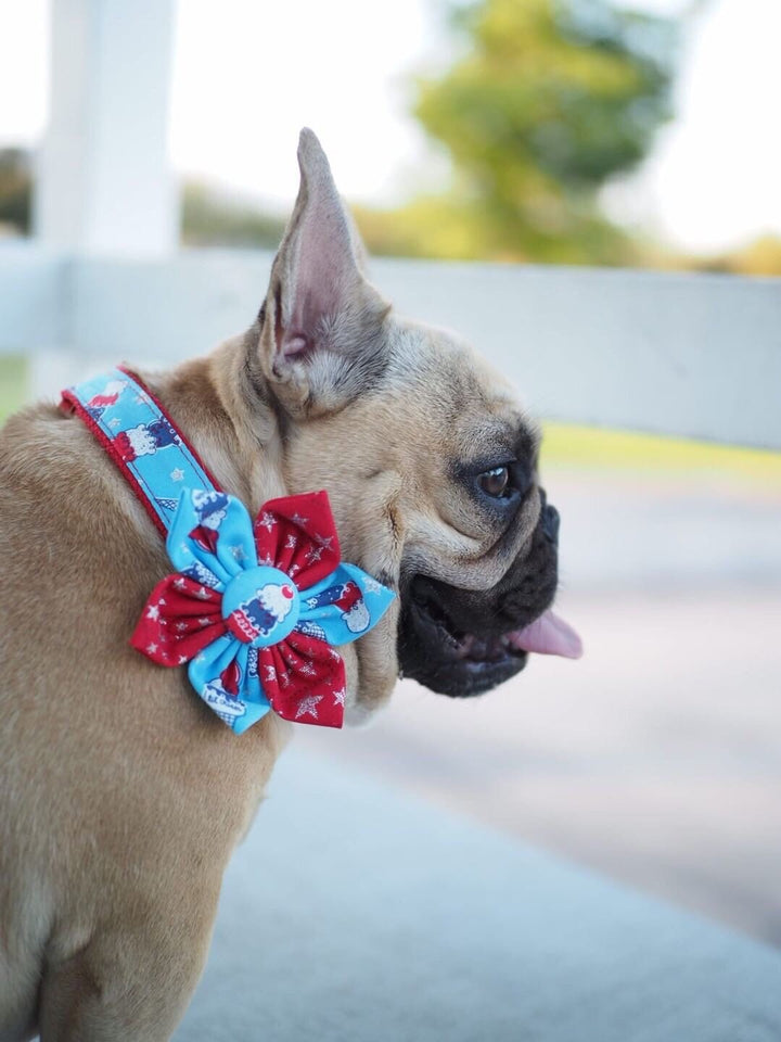 Patriotic dog collar flower/ 4th of July dog collar bow/ Girl dog collar/ blue red ice cream collar/ large small collar/ Memorial day collar