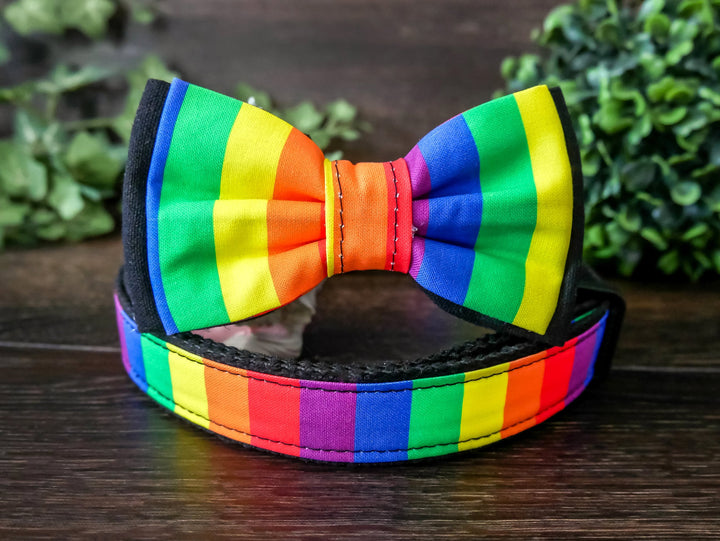 rainbow stripe dog collar bow tie/ Boy girl dog collar/ colorful pride dog collar/ large medium dog collar/ small puppy collar/ gift for dog