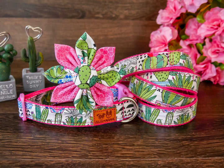 succulent dog collar Dog flower collar leash set