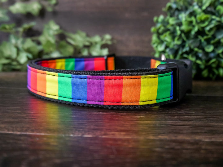 Rainbow stripe dog collar/ colorful boy dog collar/ girl dog collar/ puppy collar/ small large dog collar/ cute medium dog collar/ dog gift