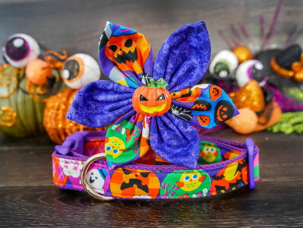 Halloween dog collar with flower - Pumpkins party