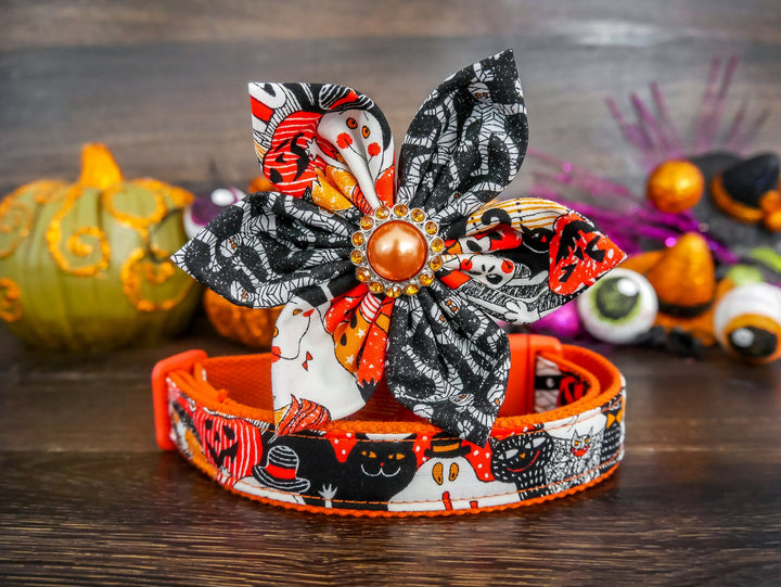 Halloween dog collar with flower - Orange Halloween