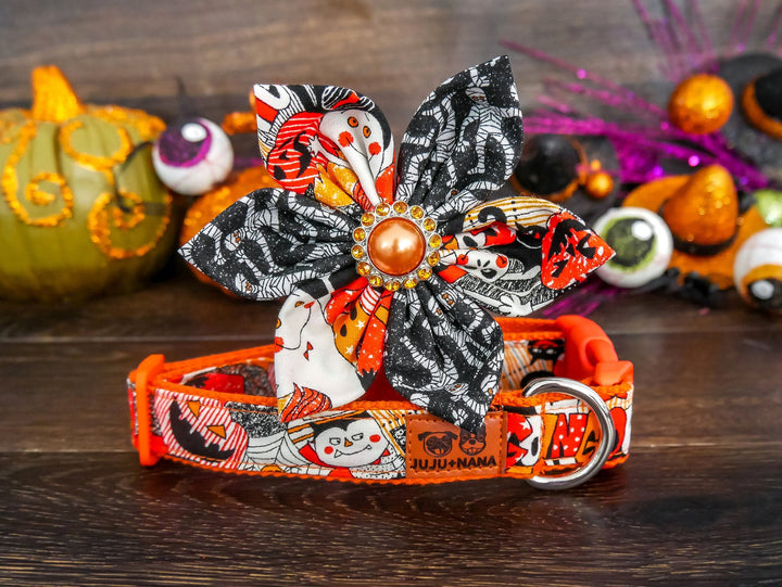 Halloween dog collar with flower - Orange Halloween