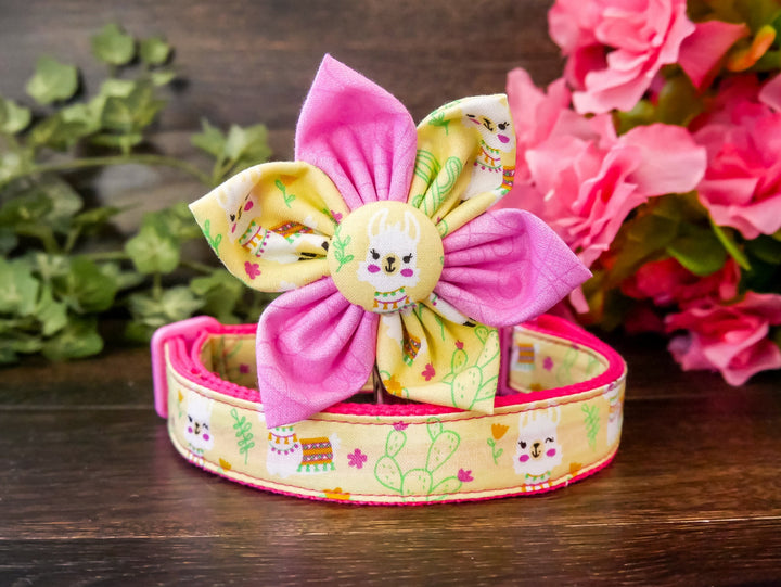 Girl dog collar/ Llama cactus dog collar/ cute flower dog collar/ pink succulent dog collar/ small puppy collar/ female large dog collar