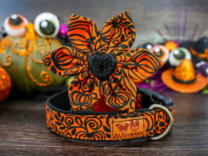 Halloween dog collar with flower - Pumpkins