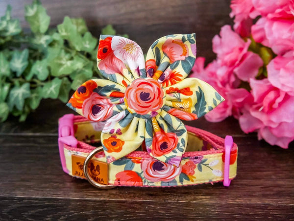 Dog collar with flower - Yellow Rose