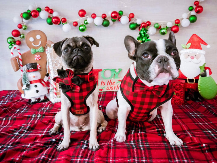 Buffalo Plaid dog harness vest, Christmas red black dog harness, Winter girl boy dog harness, Small medium dog harness, custom puppy harness