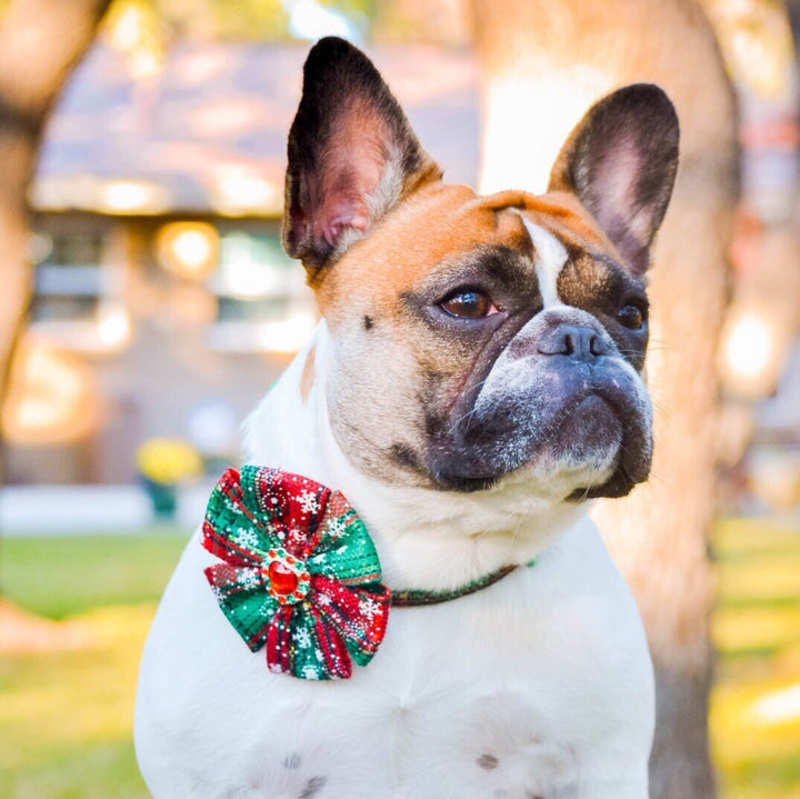Christmas dog collar flower/ girl dog collar