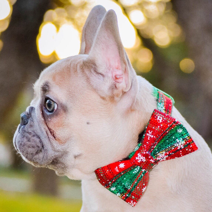Christmas dog collar with bow tie - green snowflake plaid