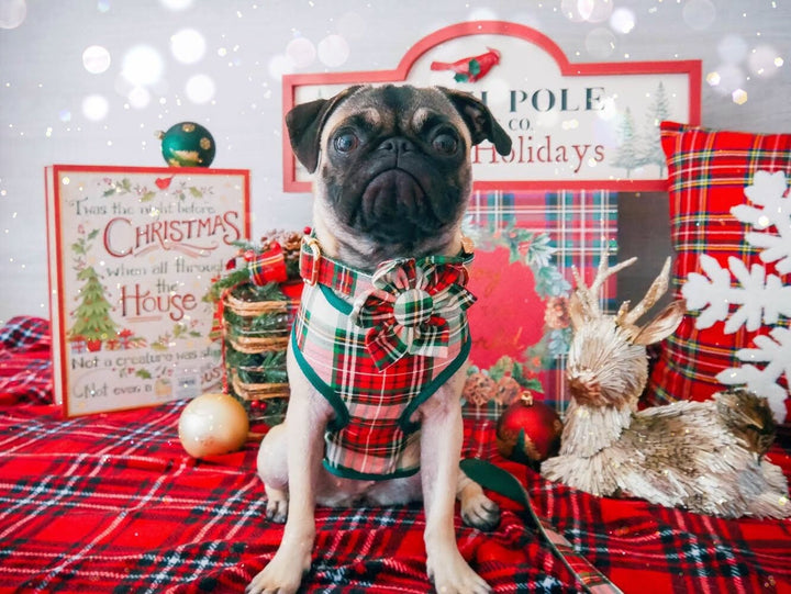 Christmas plaid dog harness - lodge plaid