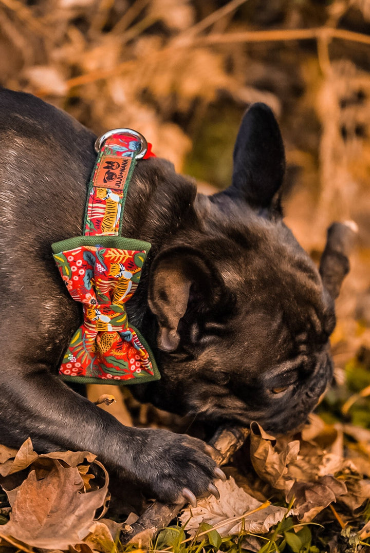 christmas dog collar/ dog bow tie/ riffle paper co