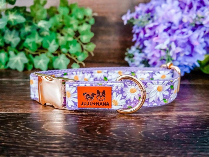 Purple daisy flower dog collar/ Girl floral dog collar/ Personalized Laser Engraved Dog Collar/ female dog collar/ small large dog collar