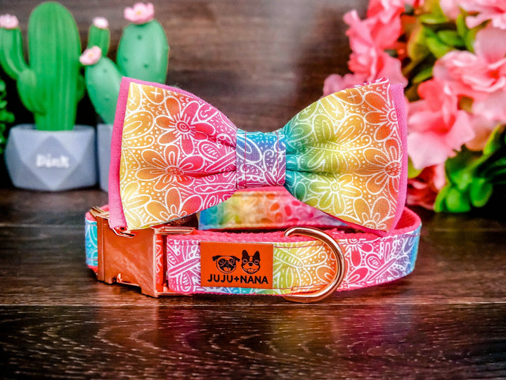 Girl boy dog collar bow tie/ rainbow floral dog collar