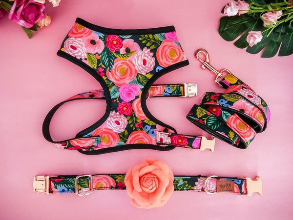 Floral girl dog harness set/ girl flower dog harness Vest/ rifle paper co/ small medium dog harness and leash/ Black puppy dog lead harness