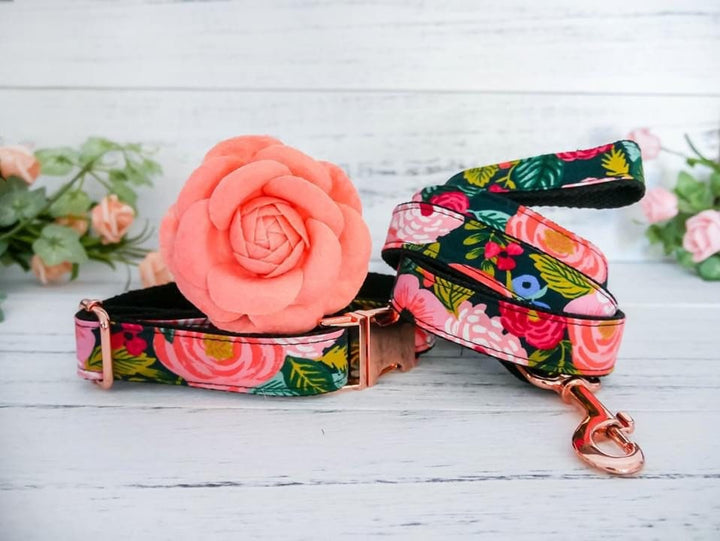 Floral girl dog harness set/ girl flower dog harness Vest/ rifle paper co/ small medium dog harness and leash/ Black puppy dog lead harness