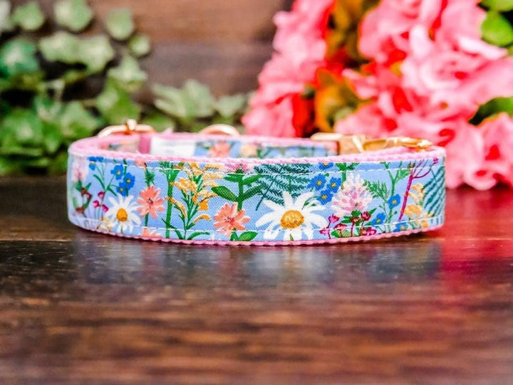 girl Personalized dog collar/ daisy floral dog collar/ rifle paper co/ Engraved Buckle Dog Collar/ small large collar/ flower puppy collar