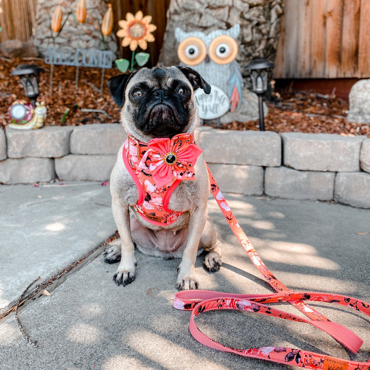 Girl floral dog harness vest/ orange flower dog harness/ female fabric dog harness/ medium small harness/ puppy designer harness