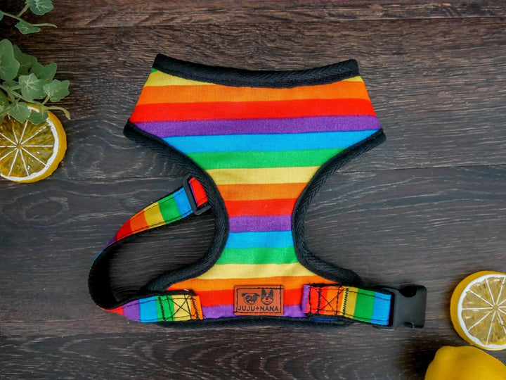 Rainbow Stripes dog harness/ boy girl dog harness vest/ pride summer dog harness/ Small medium dog harness/ male puppy fabric harness