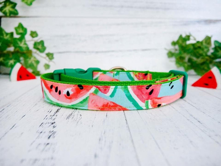 cute watermelon dog collar/ boy girl dog collar/ fruit green blue dog collar/ small large dog collar/ puppy medium dog collar/ fabric collar