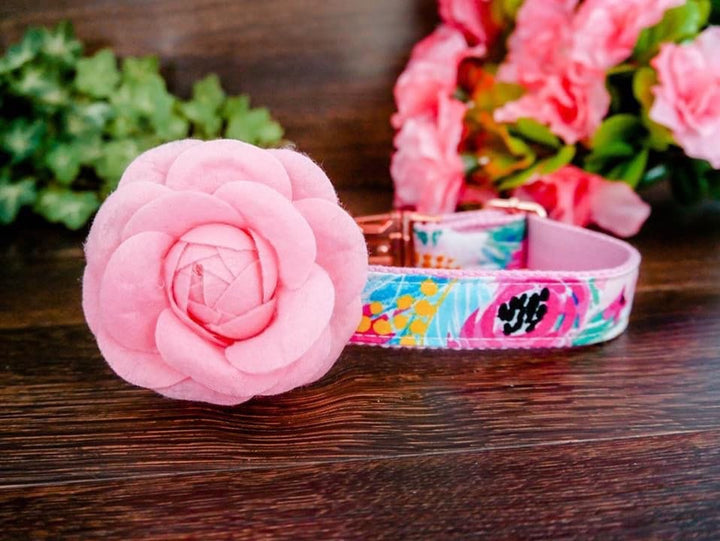 Dog collar with flower - watercolor pink rose