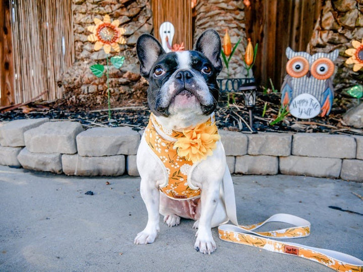 Floral Girl dog harness leash set/ small medium harness vest/ yellow boho flower dog harness and leash/ Custom Puppy dog lead harness