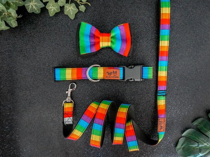 Rainbow stripes dog harness set/ boy girl dog harness vest