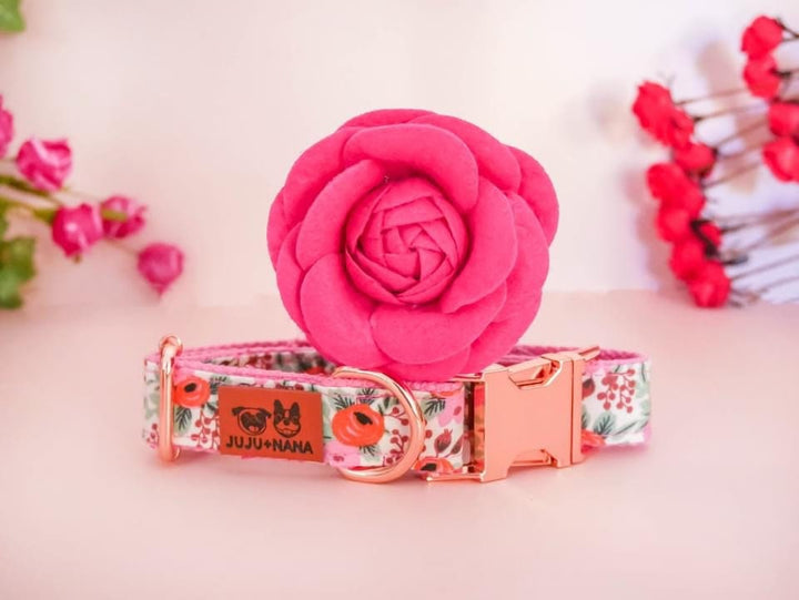 dog collar with flower - Rosa Blush