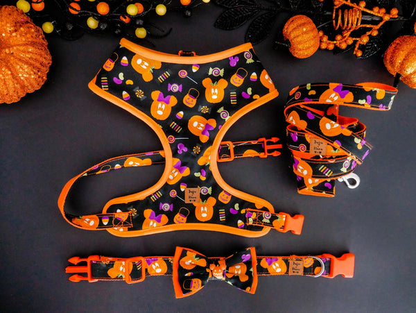 Halloween dog harness set - Cute Pumpkins