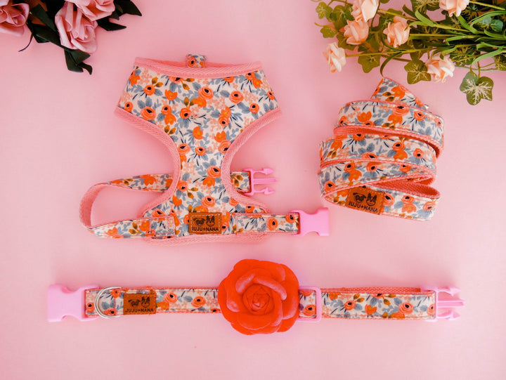 Floral girl dog harness set/ rifle paper co harness and leash/ pink flower harness vest/ Custom dog lead and harness/ small medium puppy dog