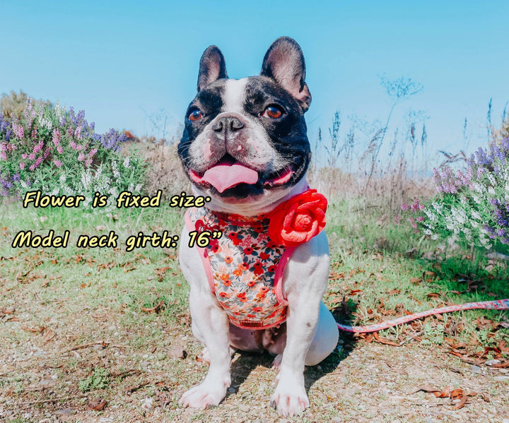 Rifle paper co floral dog harness/ rose flower dog harness vest/ girl female dog harness/ small medium puppy harness/ soft fabric harness