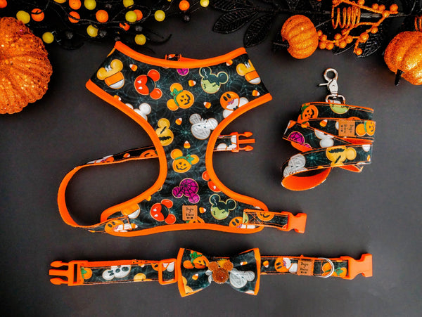 Halloween dog harness set - Spooky cookie