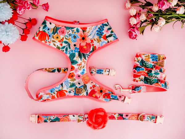 Floral dog harness set/ Girl flower dog harness and leash/ rifle paper co/ female dog lead and harness/ dog harness vest/ custom dog harness