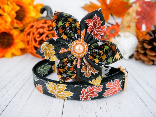 Dog collar with flower - Autumn leaves