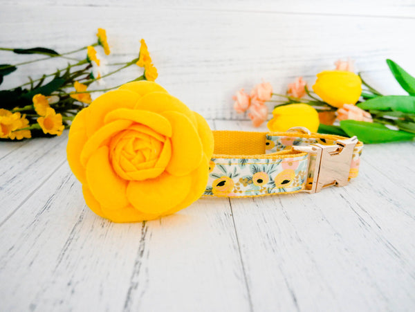 dog collar with flower - Rosa Yellow