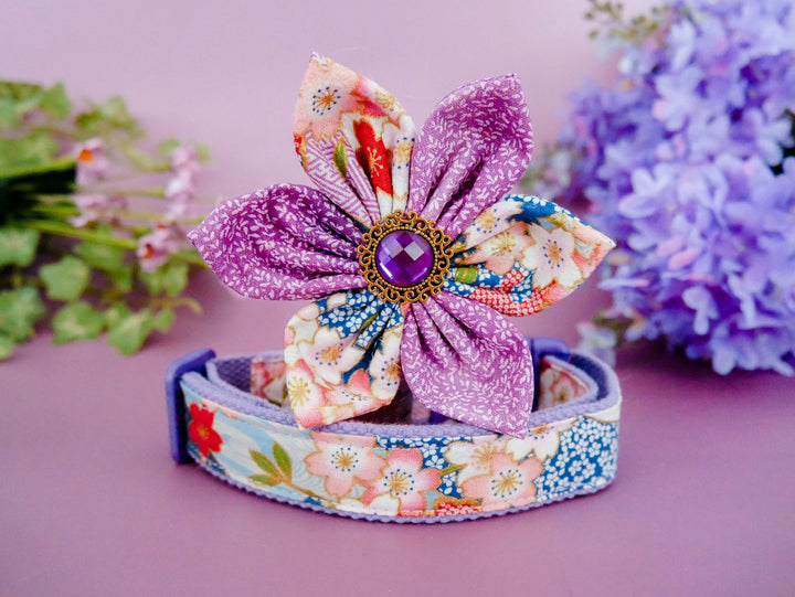 Japanese kimono dog collar with flower - Purple Sakura