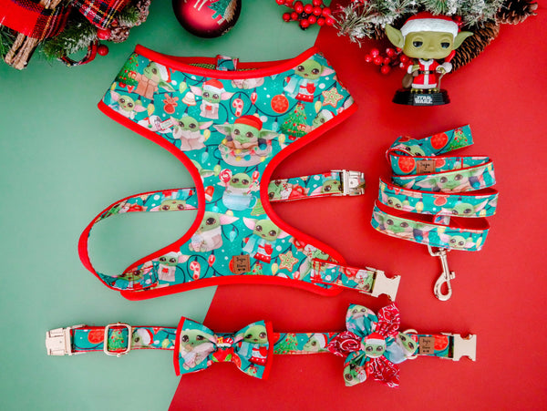 Dog harness set - Christmas Babies