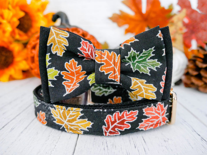 Fall leaves dog collar bow tie