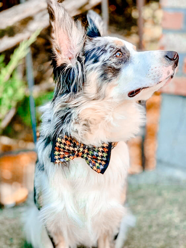 Autumn plaid dog collar bow tie - hounds tooth check