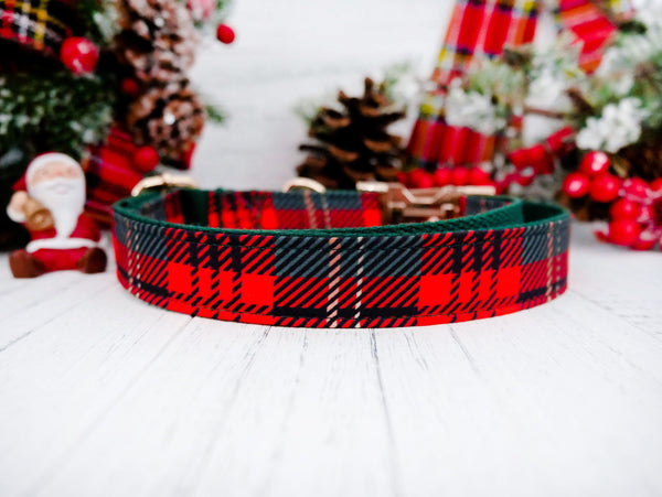 Christmas dog collar - Tartan