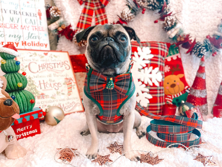 Christmas Plaid dog harness set - red green tartan