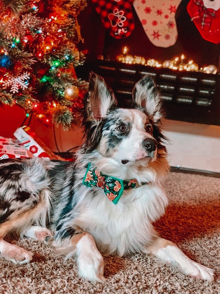 Christmas dog collar bow tie - gingerbread and snowflake