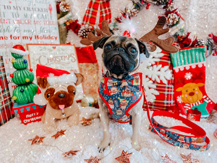 Christmas Dog harness - Pug