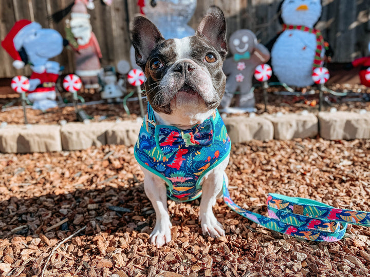 Dinosaur boy dog harness leash set/ cute blue dog harness vest/ small medium dog harness lead/ custom puppy fabric harness