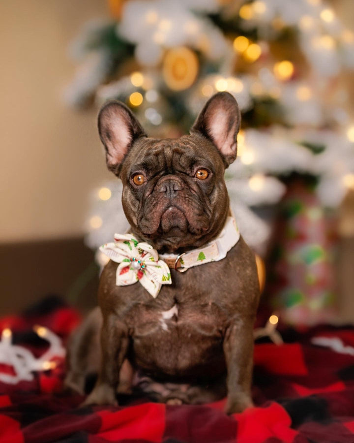 Christmas dog collar with flower - white Christmas trees