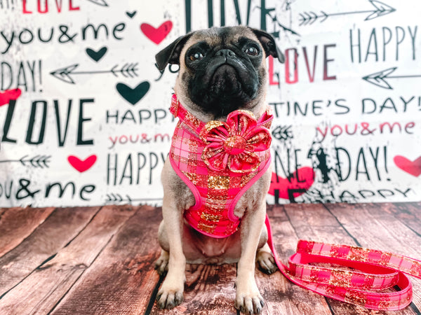 Girl plaid dog harness leash set/ Pink valentine dog harness vest/ tartan custom dog harness and leash/ small medium dog harness/ puppy harn