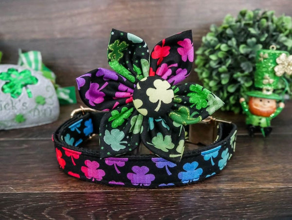 St. Patrick's day dog collar with flower - Rainbow shamrock
