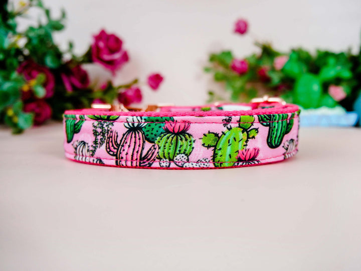 Succulent cactus dog collar/ girl pink dog collar/ boho designer dog collar/ large puppy small dog collar/ female soft fabric collar