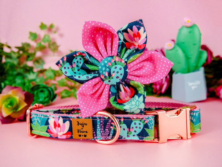 Dog collar with flower - Cactus, Succulent and flowers