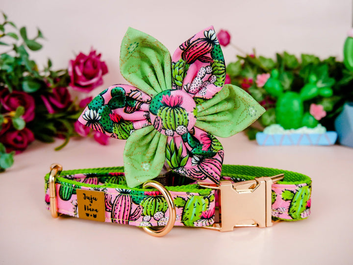 Cactus Succulent Dog Collar with flower - green webbing